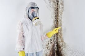 Best Forensic Mold Investigation  in Lake Mack Forest Hills, FL